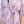 Load image into Gallery viewer, Kimono Robe with Ties