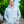 Load image into Gallery viewer, Hoodie Sweatshirt